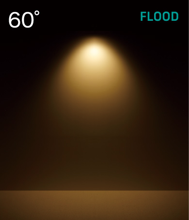60°FLOOD