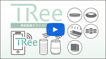 TRee（2:51）