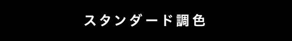 スタンダード調色