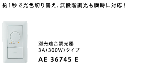 別売 適合調光器3A（300W）タイプ AE 36745 E