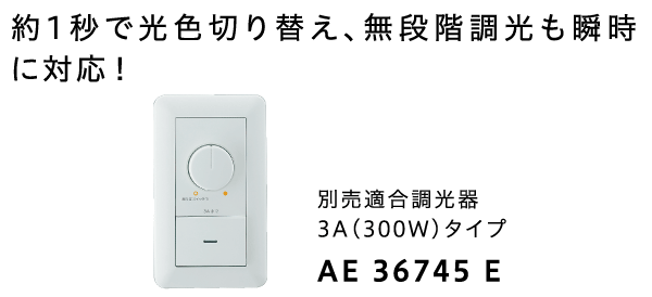 別売 適合調光器3A（300W）タイプ AE 36745 E